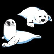 Seals1NC2clr