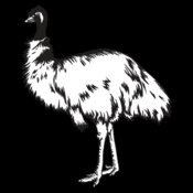 Emu01NC2bw