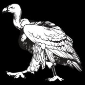 Vulture1NC2bw