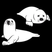 Seals1NC2bw