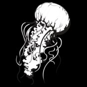 SNttlJllyfish01NC2bw