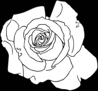 ROSE4