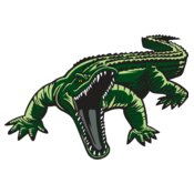 alligatorM13