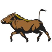 Warthogs-Razorbacks-Boar